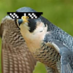 Meet your Posher, Eyker